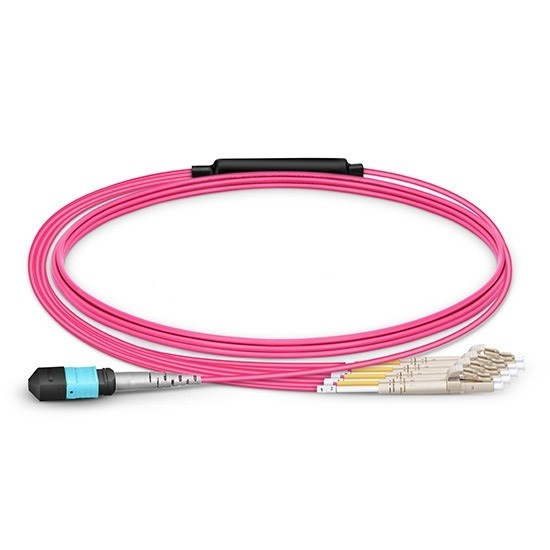 MPO/MTP Harness Patchcords